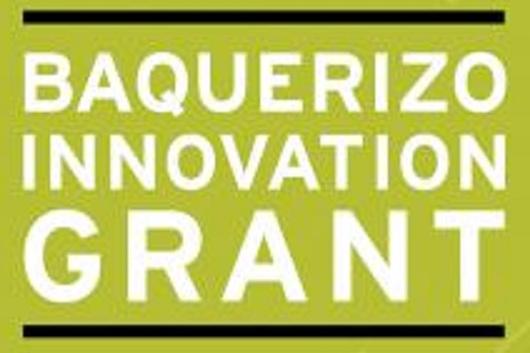 Baquerizo Innovation Grant